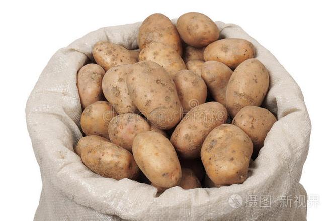 的土豆红薯一叠土豆马铃薯分离手拿土豆白底土豆麻袋红薯土豆马铃薯分