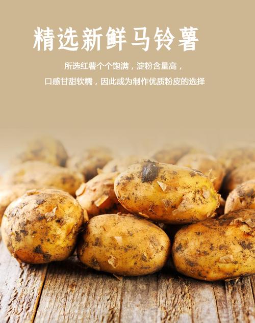 六六顺马铃薯宽粉180g*2袋组合装水晶火锅宽粉凉拌土豆大粉皮